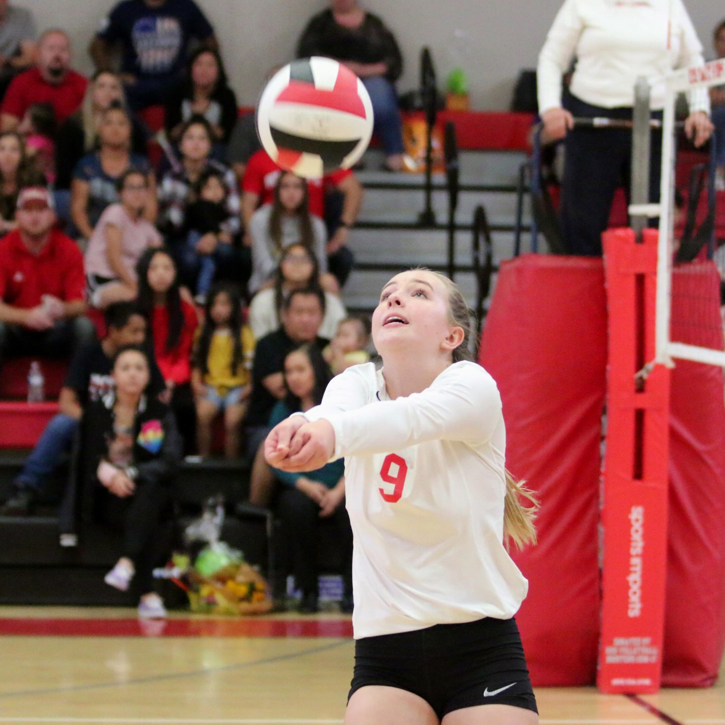 Bullpups claim victory over Tigers in thrilling season finale